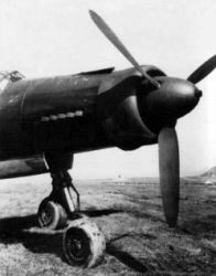 Le Do-335 V13